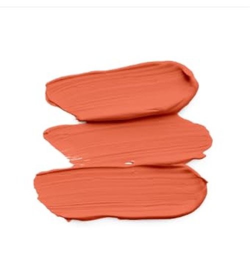 Concealer - Vegan with Hydrating Formula (Perfect Orange Corrector, standard)
