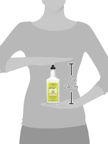 Aloe & Green Tea Daily Moisturizing Lotion - 18 oz | Atkins Jr Watkins