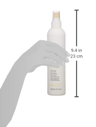 milk_shake Curl Passion leave in, 10.1 Fl Oz