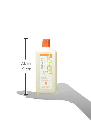 Andalou Naturals Argan Oil and Shea Moisture Rich Shampoo, Value Size, 32 Ounce