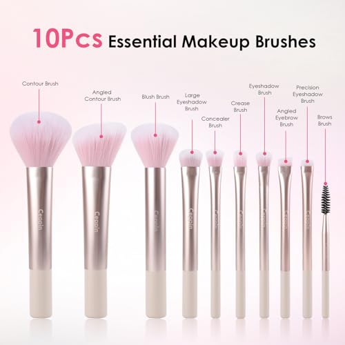Ceppin Professional Makeup Brushes 10Pcs, Premium Synthetic Make Up Brush Set, Powder Foundation Contour Blush Concealer Eye Shadow Blending Liner Makeup Brush Kit (Pink)