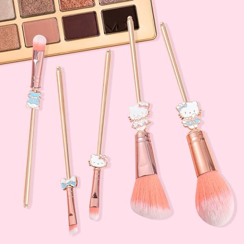 5PCS Cute Cat Style Makeup Brushes, Cosmetic Makeup Brush Set with Pink Storage Bag, Best for Gir Woman