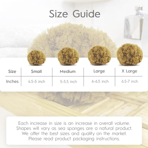 Naroa Exfoliating Natural Sponge for Shower | Bath Sea Loofah for Healthy Skin | Unbleached Bathing Body Scrubber Puff | Sustainable Plastic Free (Small)