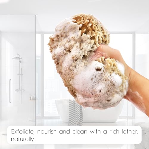 Naroa Exfoliating Natural Sponge for Shower | Bath Sea Loofah for Healthy Skin | Unbleached Bathing Body Scrubber Puff | Sustainable Plastic Free (Small)