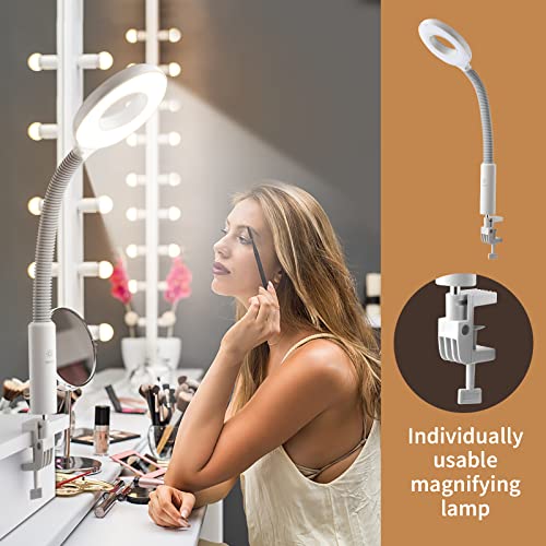 Winado 2 in 1 Facial Steamer with 3X Magnification Light, Deep Cleaning for Personal Skin Care, Beautician Steamer Professional Aromatherapy Humidifier Facial Spa Mist Steam for Home & Beauty Salon