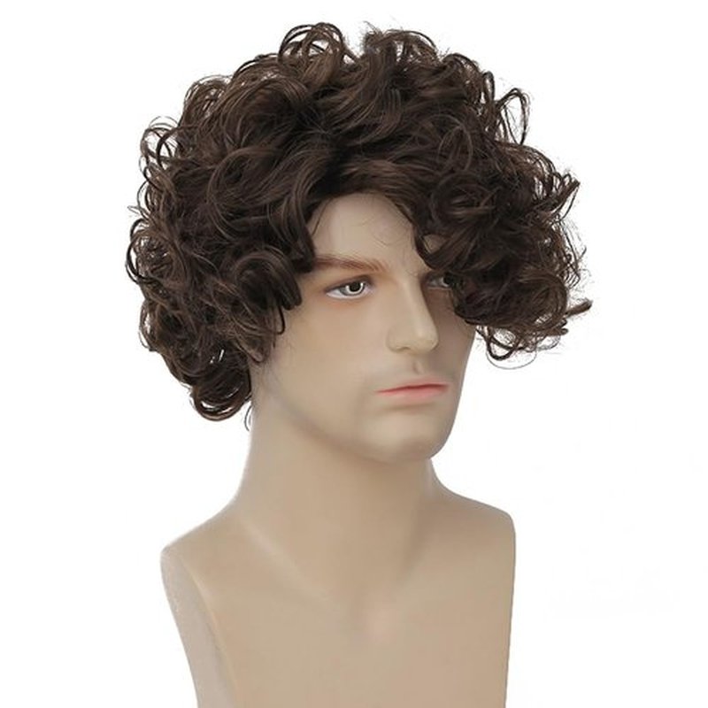 Tseses Curly Brown Short Wigs for Men Layered Fluffy Synthetic Fiber Wigs for Daily Party Mens Costume Wig