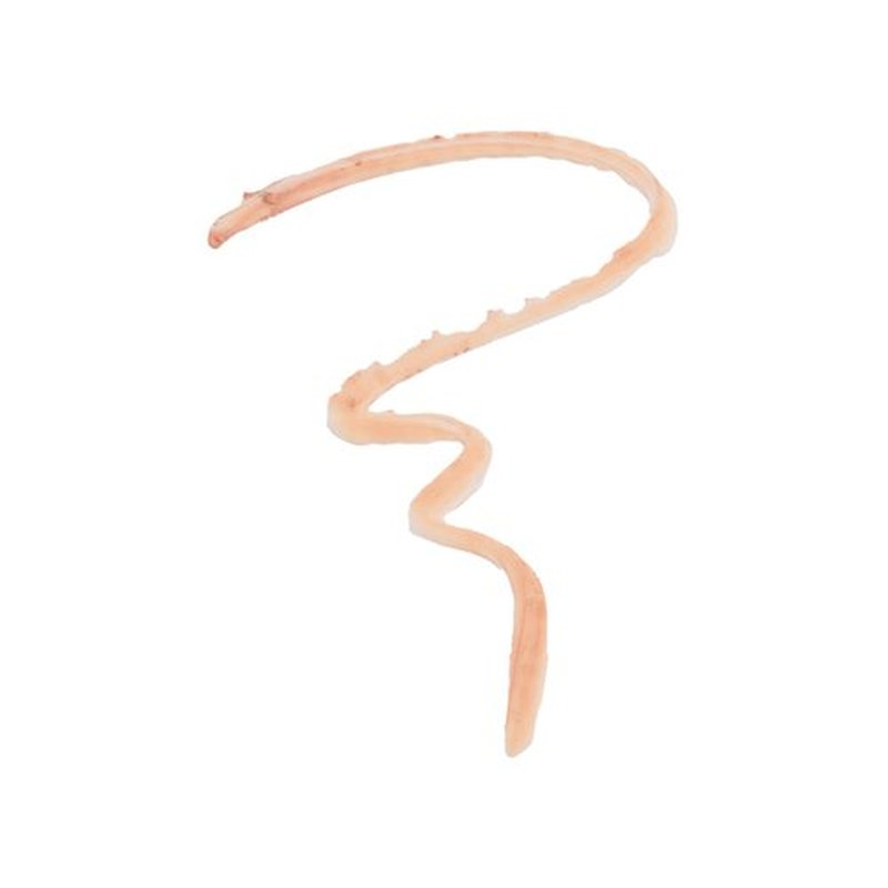 Lune+Aster Dawn to Dusk Gel Eyeliner - Nude - This 14-hour long-wear gel eyeliner offers the precision of a liquid liner and the control of a gel without smudging.