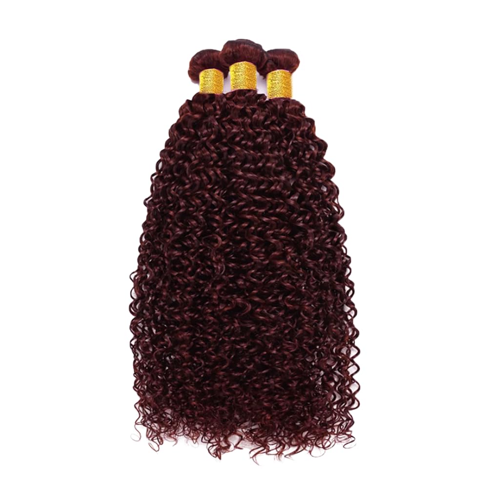 18 20 22 Inch Vinmdonm 99J Human Hair Bundles Burgundy Kinky Curly Human Hair Bundles Brazilian Red Bundles Human Hair Unprocessed Virgin Hair 3 Bundles 99J Kinky Curly Bundles Hair Weave