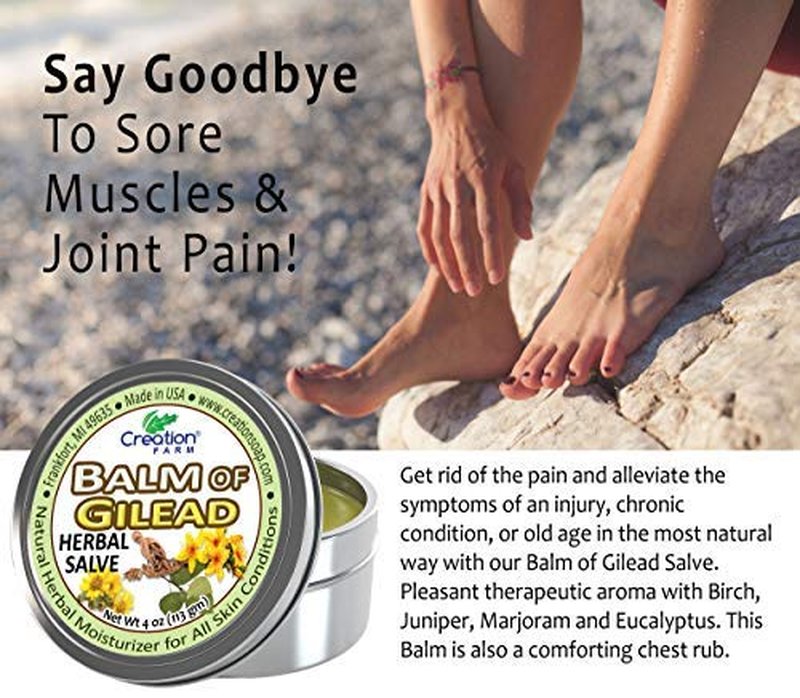 Balm of Gilead Salve - All-Natural Botanical Ointment for Skin Relief | Large 4 Oz Tin