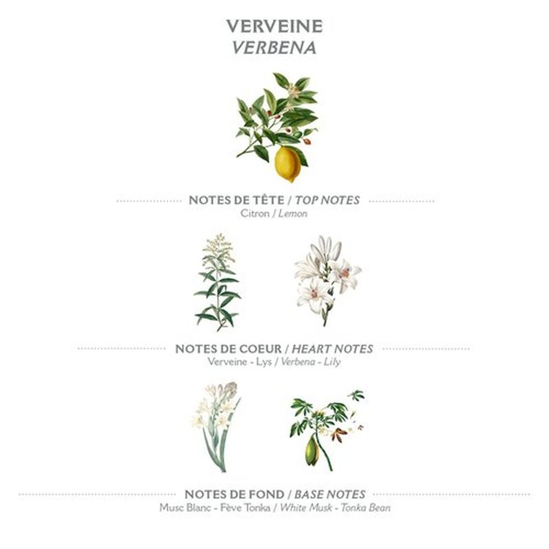 Panier des Sens - Verbena Body Lotion for Dry Skin - Hydrating Body Cream for Women - Nourishing Fluid Body Moisturizer with Shea Butter & Olive Oil - 97% Natural Ingredients Body Care - 8.45 Floz