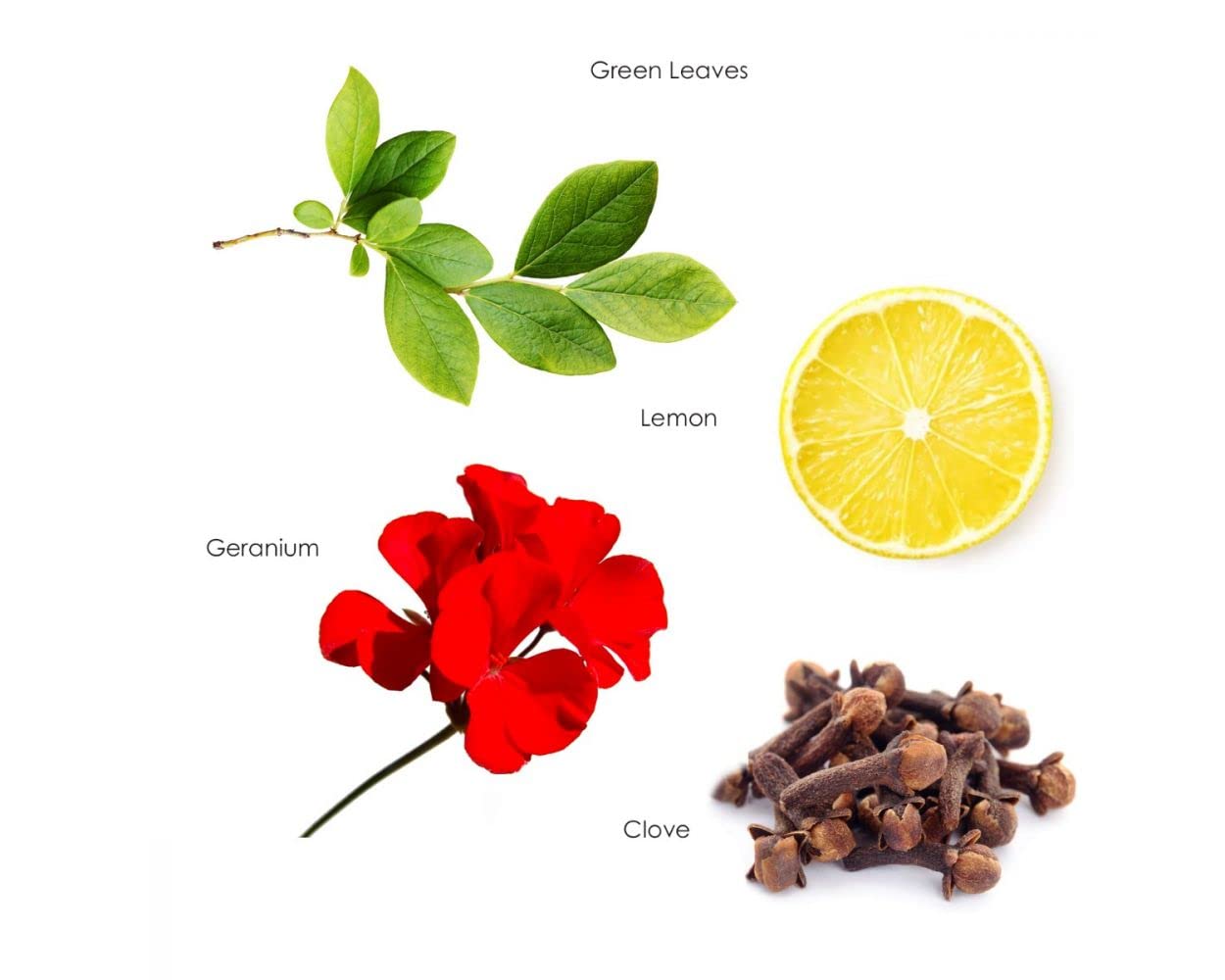 London Room Spray - 3.5oz - Mandarin, Gardenia, and Musk - For the entire home, bathroom, and travel