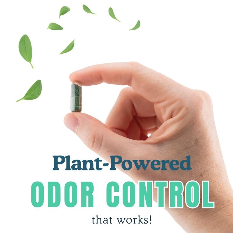 DeoCaps Whole Body Deodorizing Supplement - 100% Natural Internal Deodorant, Sweat Relief - Body Odor Pills Reduce Odor in Underarms, Intimate Areas & Feet - 60 Chlorophyll Capsules for Gut Health