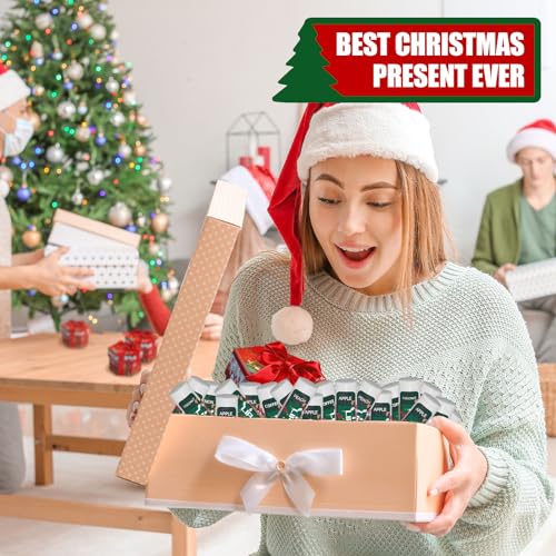 Yopela 19 Pack Christmas Natural Lip Balm Bulk with Vitamin E and Coconut Oil Lip Care Set - Moisturizing, Soothing, and Repairing Dry and Chapped Lips - 19 Flavors - Non-GMO