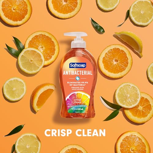 Softsoap Liquid Hand Soap, Crisp Clean Scent Hand Soap, 11.25 Ounce, 6 Pack