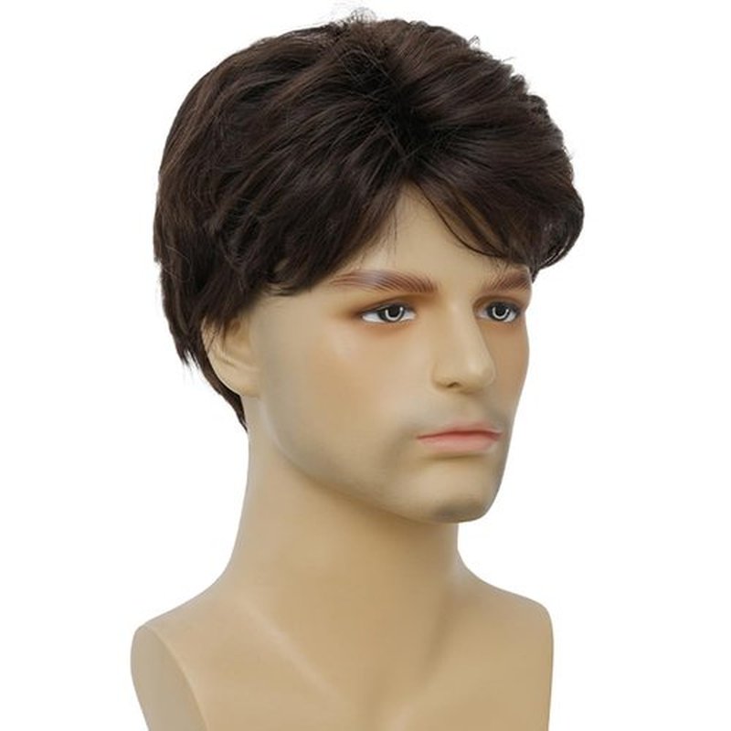 Amnenl Brown Short Wigs for Men Natural Layered Synthetic Hair Wig for Male Guy