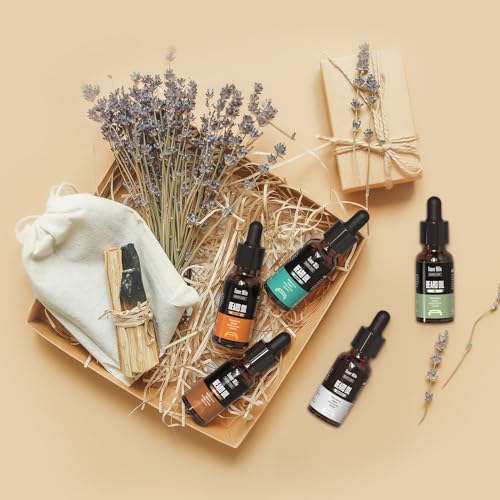 ISNER MILE Beard Oil 5 Pack, Stocking Stuffers Gifts for Him Dad Boyfriend, Mustaches Soften, Moisturize, Strength with Sandalwood, Bay Rum, Vanilla, Cologne, Unscented, Beard Maintenance Treatment