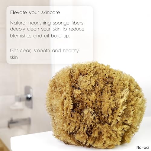 Naroa Exfoliating Natural Sponge for Shower | Bath Sea Loofah for Healthy Skin | Unbleached Bathing Body Scrubber Puff | Sustainable Plastic Free (Small)