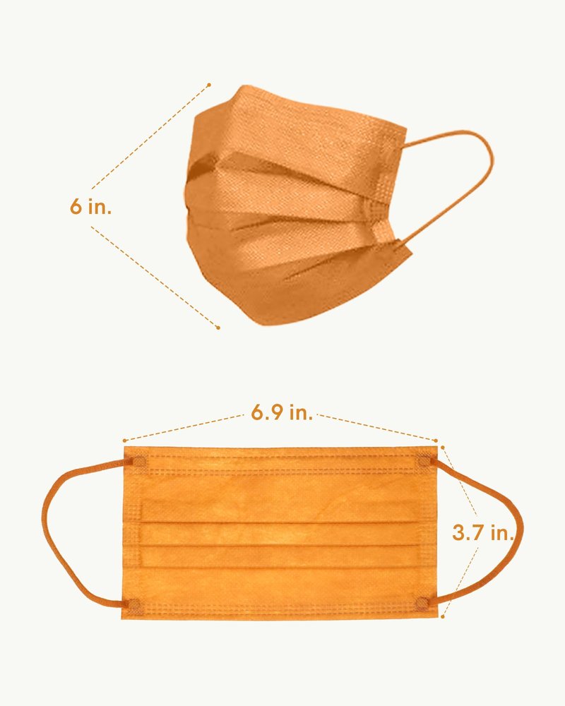 FriCARE Face Masks Disposable for Adults, 4 Ply ASTM Level 3, Individually Wrapped Mask for Allergy Protection, 50 Pack, Assorted Fall