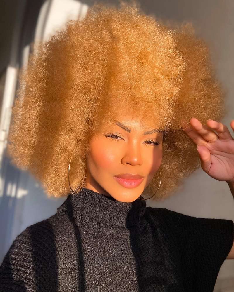HIHOO Short Afro Wig with Bangs for Black Women Afro Kinky Curly Wig 70s Premium Synthetic Big Afro Wig(Blonde)
