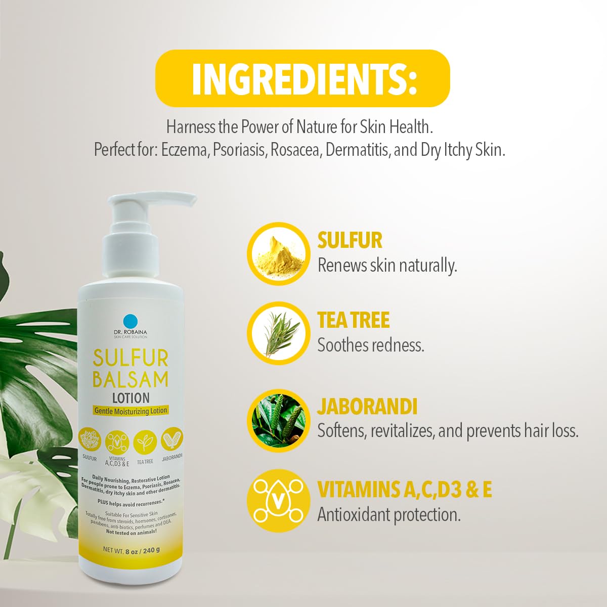 Dr. Robaina Sulfur Balsam Lotion – Lightweight Moisturizer for Dry, Flaky & Itchy Skin – Calms Redness, Supports Skin Barrier & Locks Hydration – Shea Butter & Tea Tree – 8 fl oz, USA Made