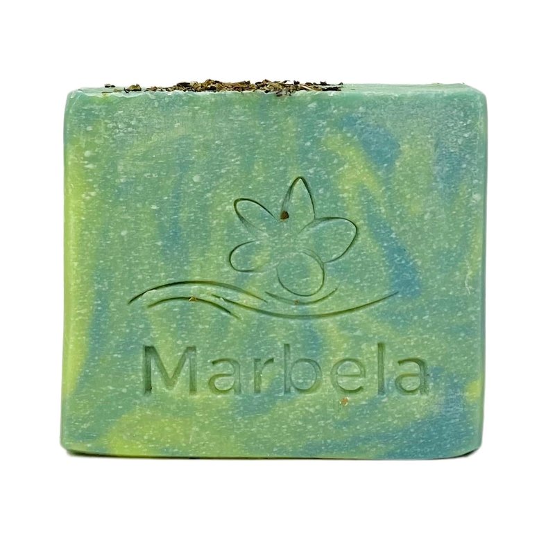 Bath & Body Works Aromatherapy Stress Relief Eucalyptus Spearmint - 2 Body Wash + Foam Bath - with a Fresh Forest Bar Soap
