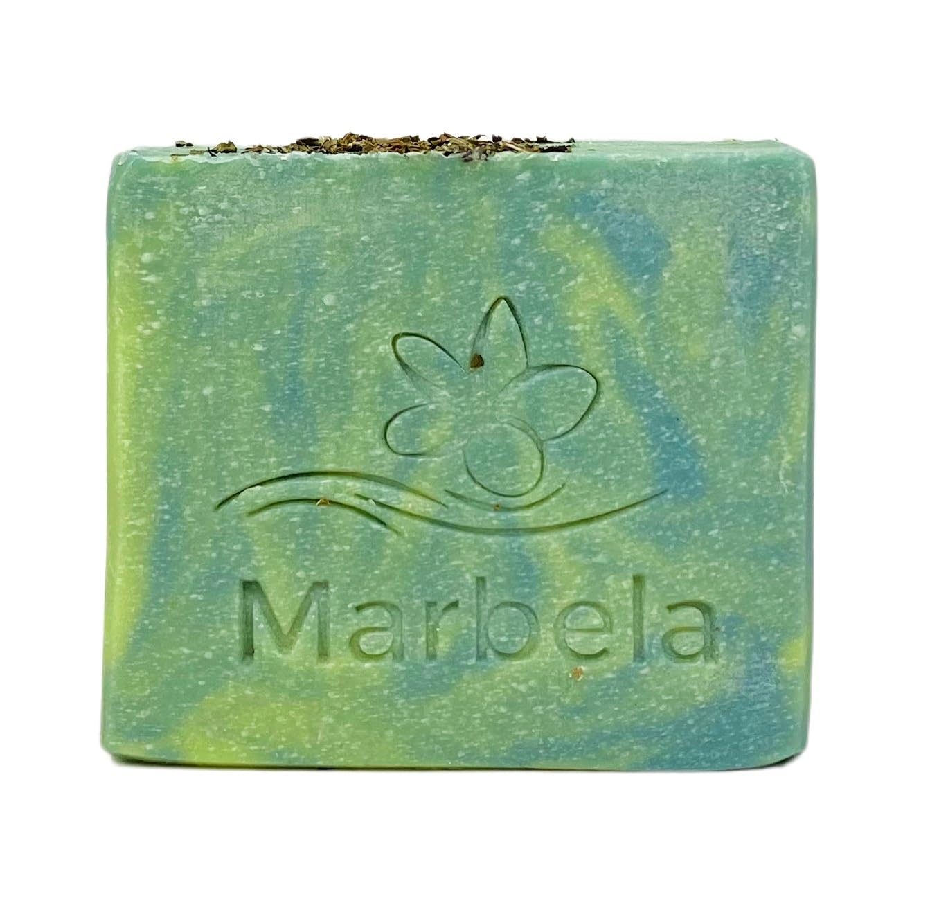 Bath & Body Works Aromatherapy Stress Relief Eucalyptus Spearmint - 2 Body Wash + Foam Bath - with a Fresh Forest Bar Soap