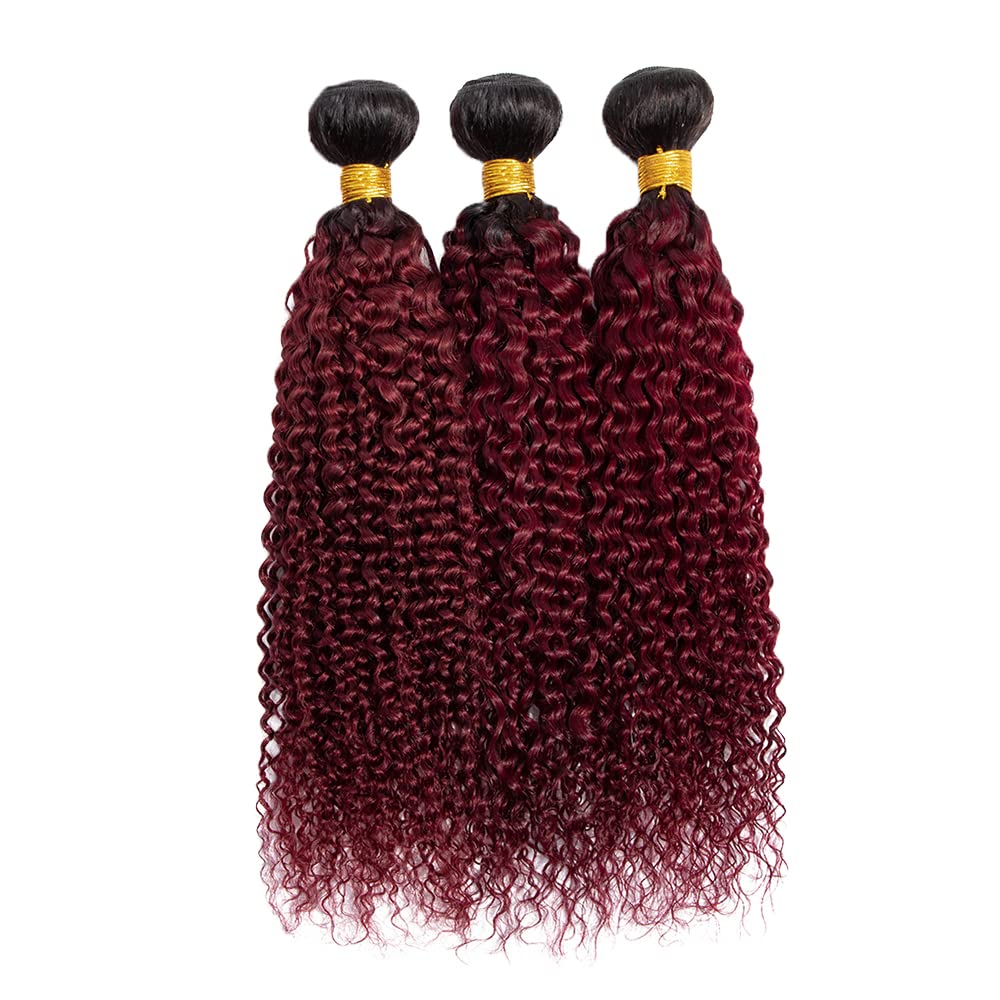 Red Bundles Human Hair Burgundy Kinky Curly Bundles Brazilian Virgin Remy Mixed With 3 Bundles 22 24 26 Inch 1B99J Curly Bundles Hair Extensions for Women 300g