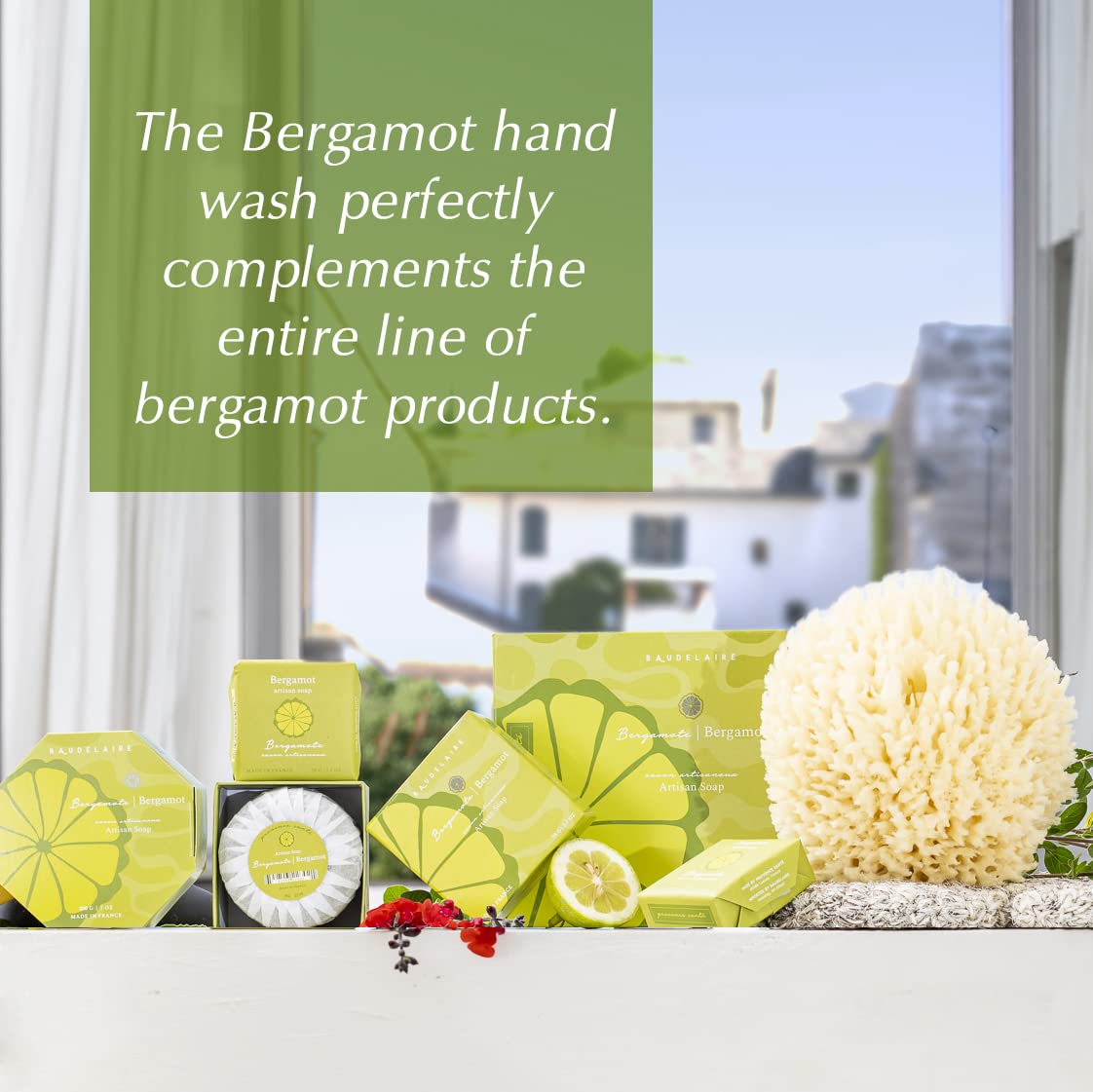 Provence Sante Natural Liquid Soap - Moisturizing Almond Oil Hand Soap with Light Citrus Bergamot Scent - Elegant Pump Dispenser for Kitchen & Bath (16.9 oz)