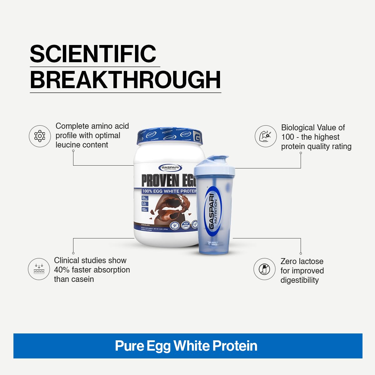 Gaspari Nutrition Proven Egg White Protein Powder, 100% Egg White Protein, 25g Dairy Free Protein Powder, Keto Friendly, Lactose, & Soy Free (2 lbs, Banana Nut Bread)