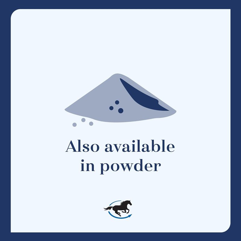 CocoSoya Oil for Horses - Nourishing Skin & Coat Care | Soybean & Coconut Oil Blend | 1 Gallon