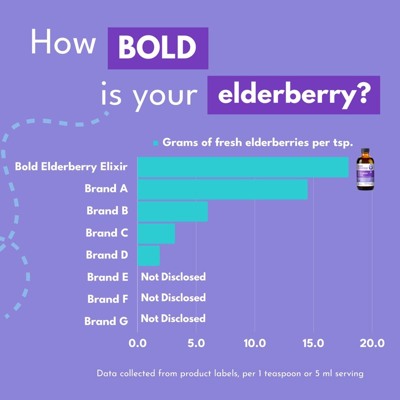 Bold Botanica Elderberry Elixir – 65X Concentrated Extract – Sugar-Free & Kid Friendly – Immune Support Elderberry Syrup for Kids & Adults with Aronia Berry & Monk Fruit – 4 fl oz