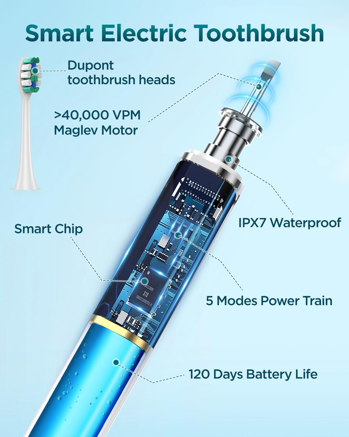 Rtauys S5 Sonic Electric Toothbrush for Adults with 8 Brush Heads, IPX7 Travel Electric Toothbrush with Travel Case, 2.5 Hours Charge for 120 Days, 5 Modes with 2 Minutes Built in Smart Timer Green