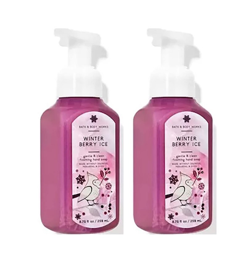 Bath and Body Works Gentle Foaming Hand Soap 8.75 Ounce 2-Pack (Winterberry Ice)