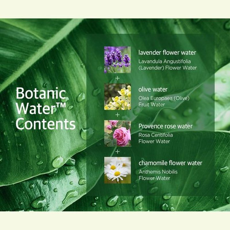 SHOWERMATE Botanic Body Wash 42.3 fl oz, 1.2 kg (Moringa)