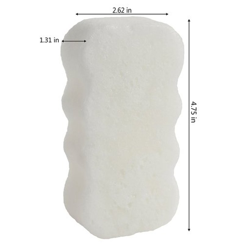Spongeables Skinutrients Anti-Cellulite Body Wash in a Sponge, Spa Cellulite Massager, Reduce The Appearance Of Cellulite, Moisturizer and Exfoliator, Colada Coconut, 1 Count