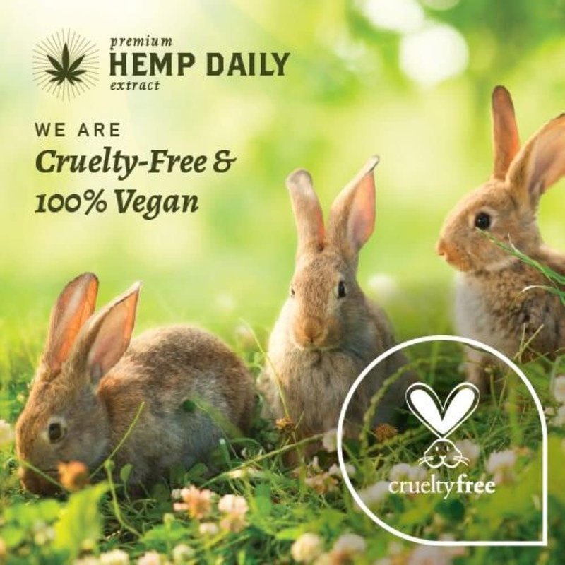 Hemp Daily Intensive Cream | Hemp Cream with Essential Oils | Vegan, Organic Ingredients | 5.0 Ounces (Lavender)