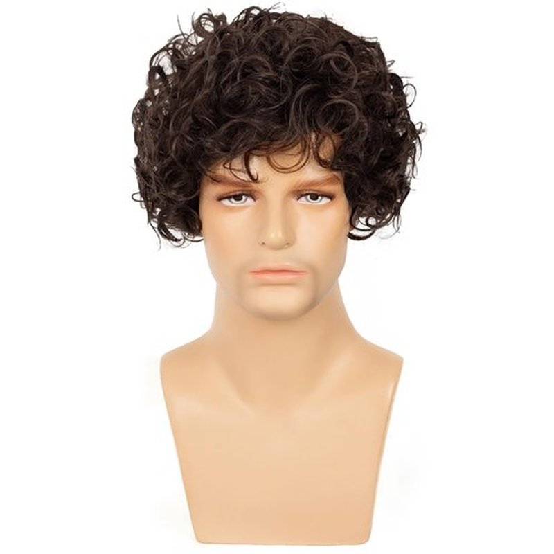 Dsimeig Mens Brown Curly Wig Short Fluffy Rocker Wigs Synthetic Costume Halloween Cosplay Hair Wigs for Male Guys