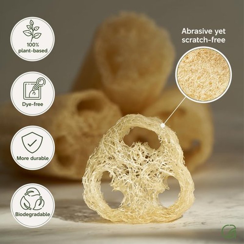 Chill Ah Green Glow Loofah Sponge Set – 100% Plant-Based, dye-Free, Biodegradable, Scratch-Free, Handcrafted in Vietnam (4-Pack)
