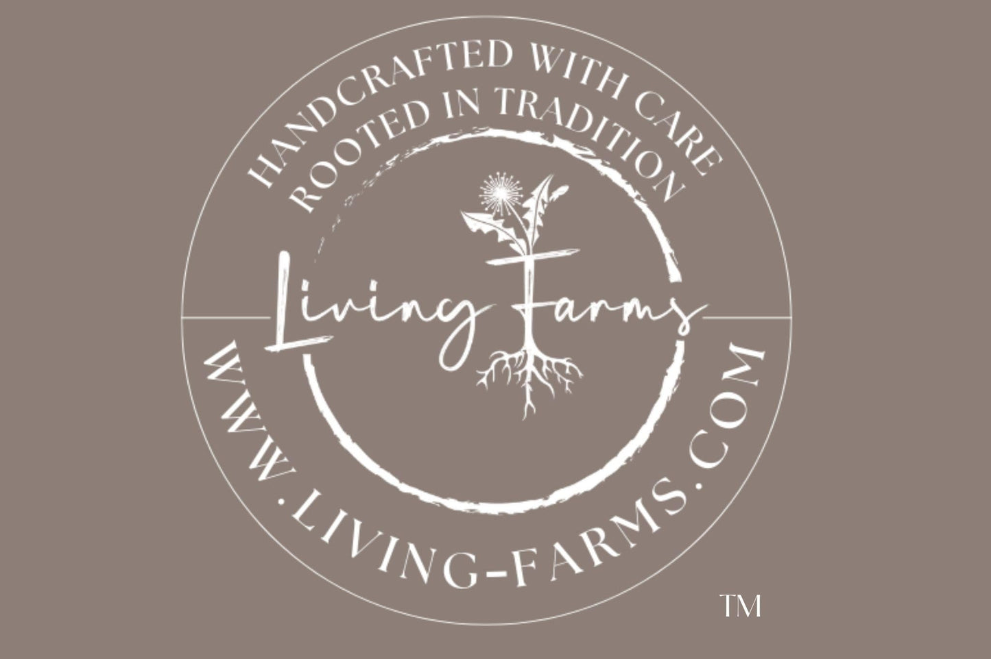 Living Farms Black Seed Oil Balm - Nigella Sativa | 2oz | Vegan Skin Repair Ointment for Dry, Irritated Skin | Handmade In The USA | Non-GMO, Chemical-Free