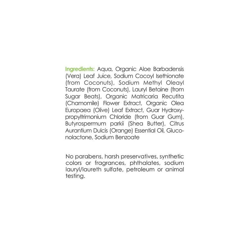 Anavita Renewing Foaming Facial Cleanser w/Natural & Organic Botanicals for Daily Skincare 6 fl oz