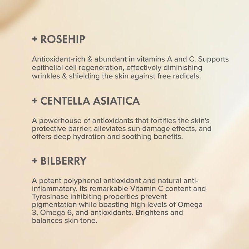 Rose Rejuvenating Face Cream - Anti-Aging Moisturizer with Rosehip Oil & Centella Asiatica | 50ml for All Skin Types