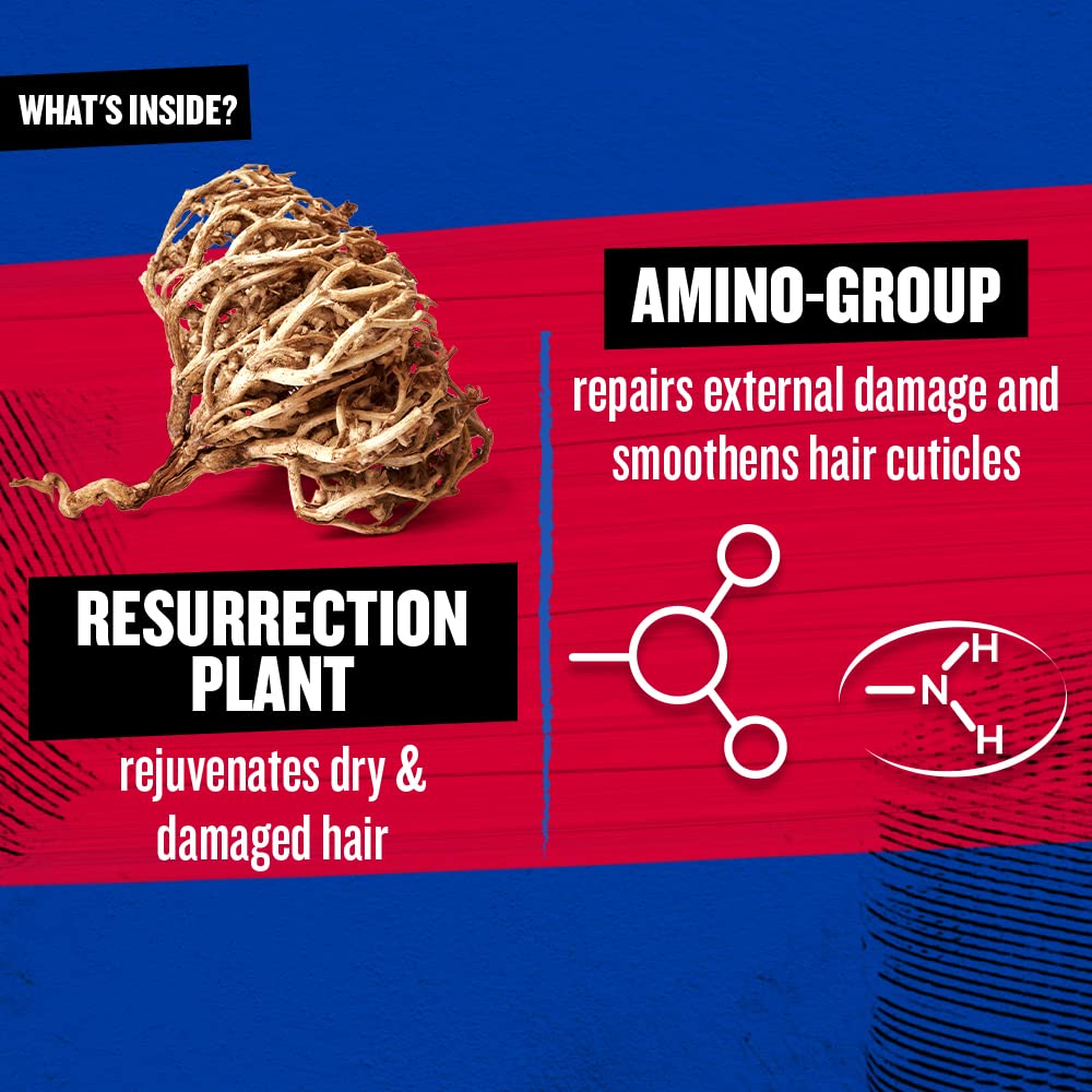 Bed Head Resurrection Shampoo for Damaged Hair - 13.53 fl oz (Pack of 2)