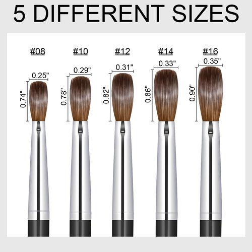 KEMEISI Acrylic Nail Brush Size #16, 100% Pure Kolinsky Nail Art Brushes for Acrylic Application, Sturdy Handle Oval Shaped Acrylic Powder Nail Design Tools for Professional Manicure DIY