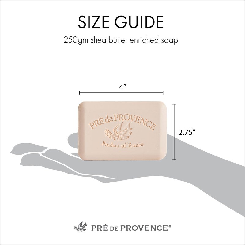 Pre de Provence Artisanal Soap Bar, Enriched with Organic Shea Butter, Natural French Skincare, Quad Milled for Rich Smooth Lather, 8.8 Ounce, Amande