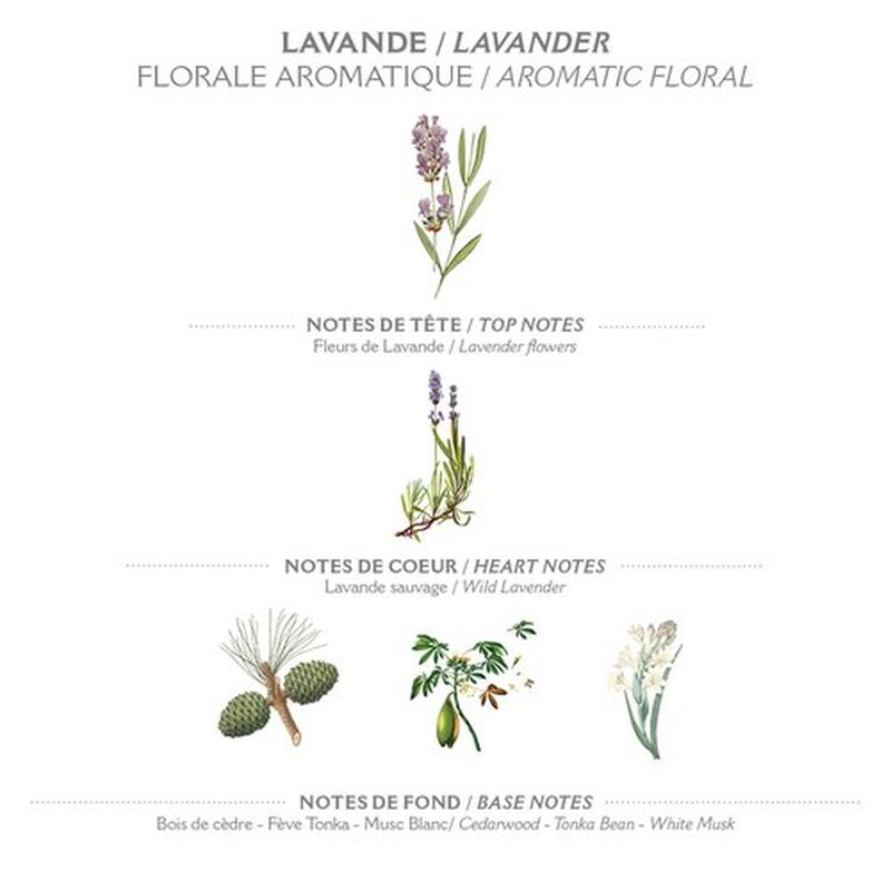 Panier des Sens - Lavender Body Lotion for Dry Skin - Hydrating Body Cream for Women - Nourishing Fluid Body Moisturizer with Shea Butter & Olive Oil - 97% Natural Ingredients Body Care - 8.45 Floz