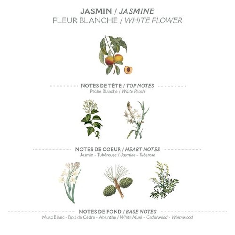 Panier des Sens - Jasmine Body Lotion for Dry Skin - Hydrating Body Cream for Women - Nourishing Fluid Body Moisturizer with Shea Butter & Olive Oil - 97% Natural Ingredients Body Care - 8.45 Floz