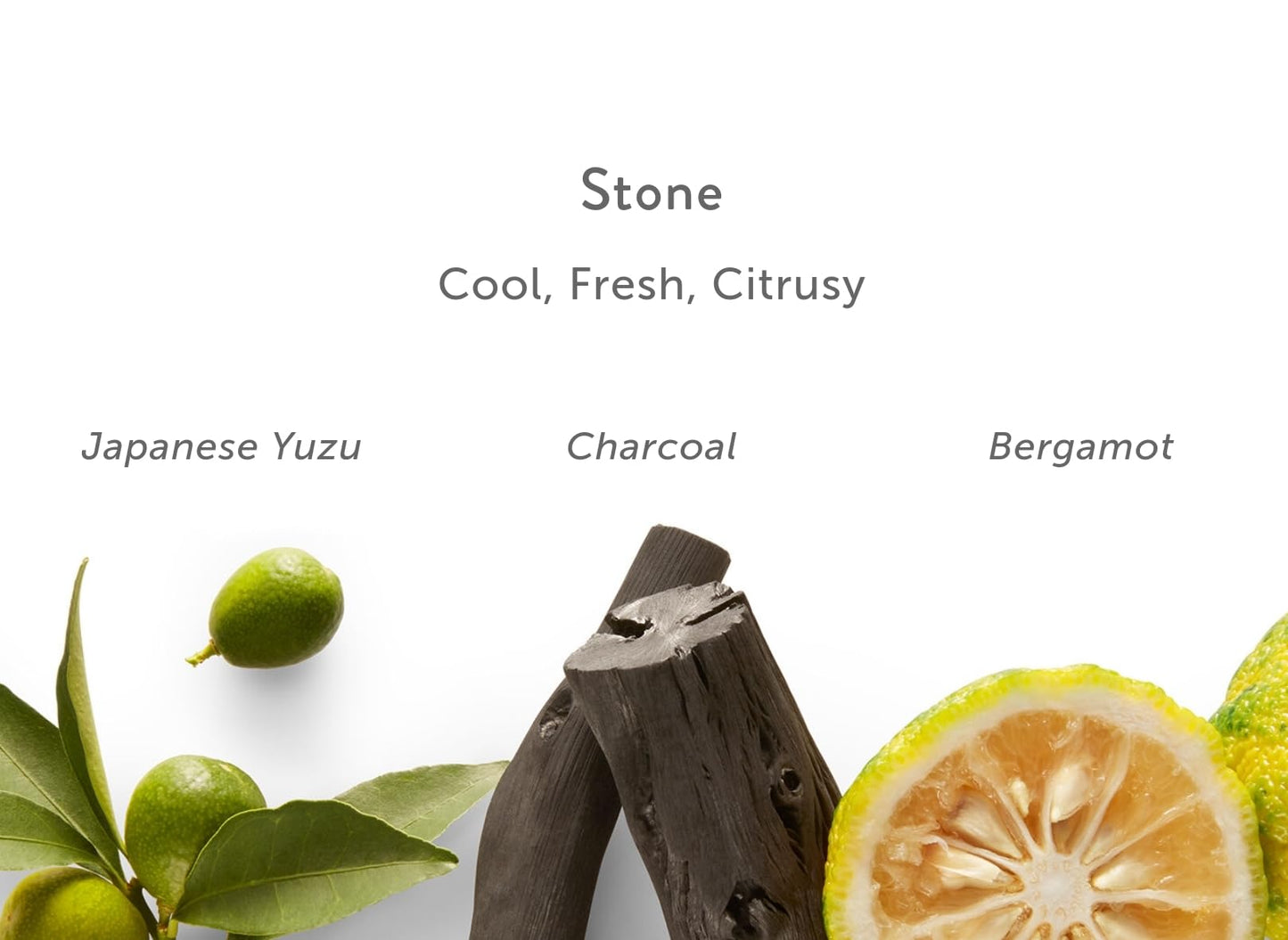 Harrys Gel-Body Wash/STONE: an invigorating scent of minerals & citrus - Japanese Yuzu, Charcoal, Bergamot - 16oz