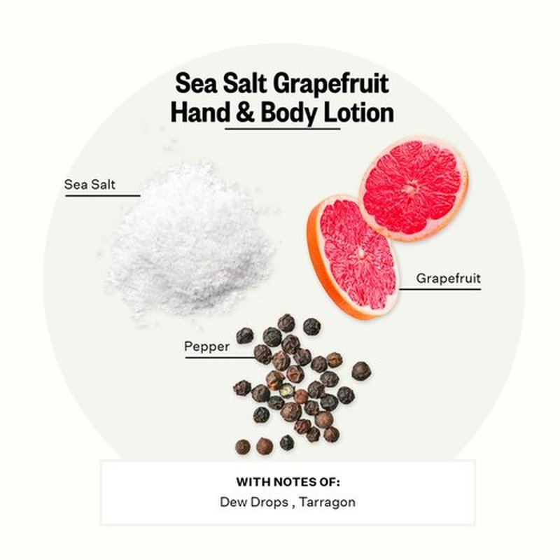 APOTHEKE Scented Hand & Body Lotion for Women & Men, Sea Salt Grapefruit (10 fl oz)