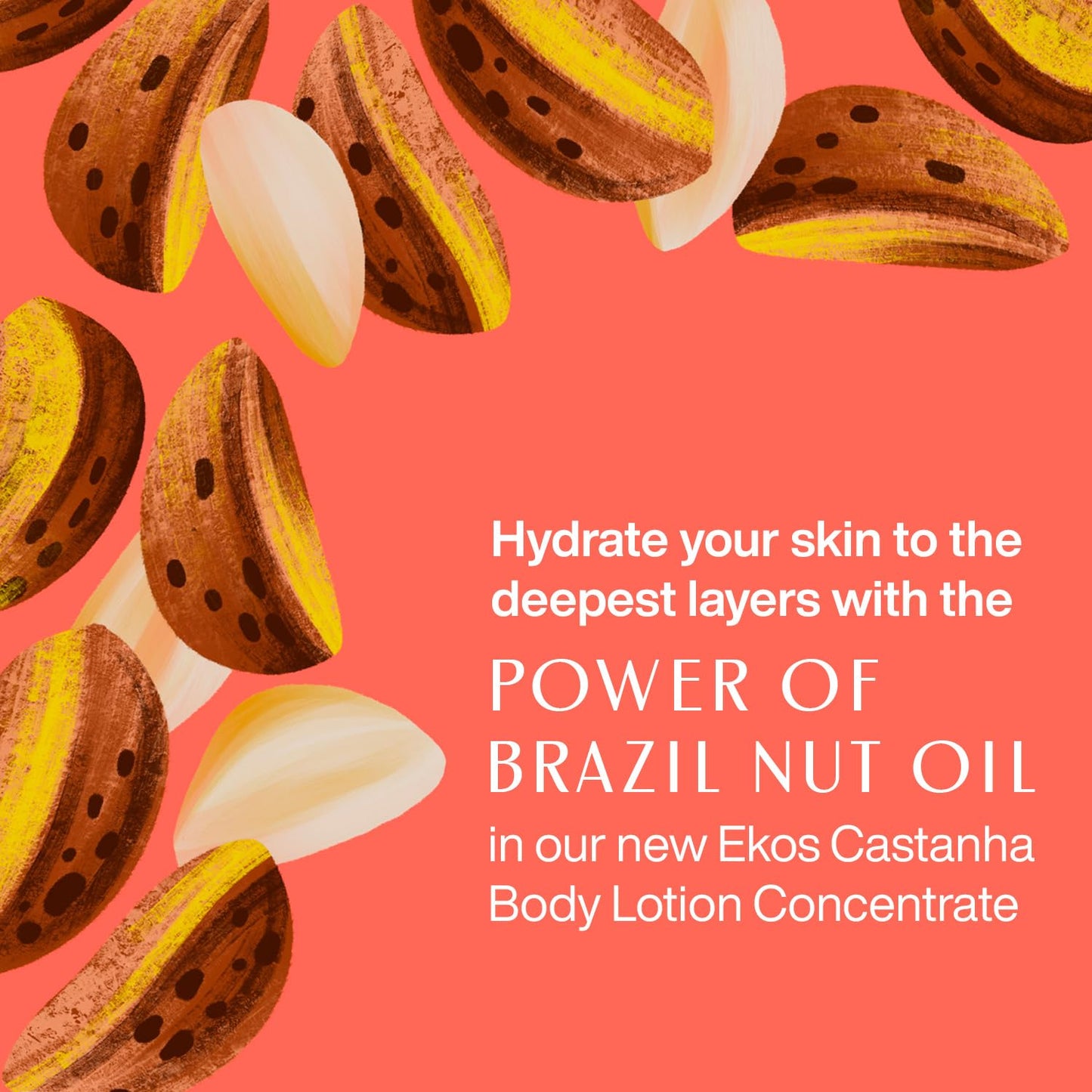 natura - Ekos Castanha (Brazil Nut) Renourishing Body Lotion - Anti-Dryness - Deep Skin Hydration Moisturizer - Vegan Skin Care - Brazilian Beauty Secrets - Self Care & Body Care - 13.5 fl oz (400ml)