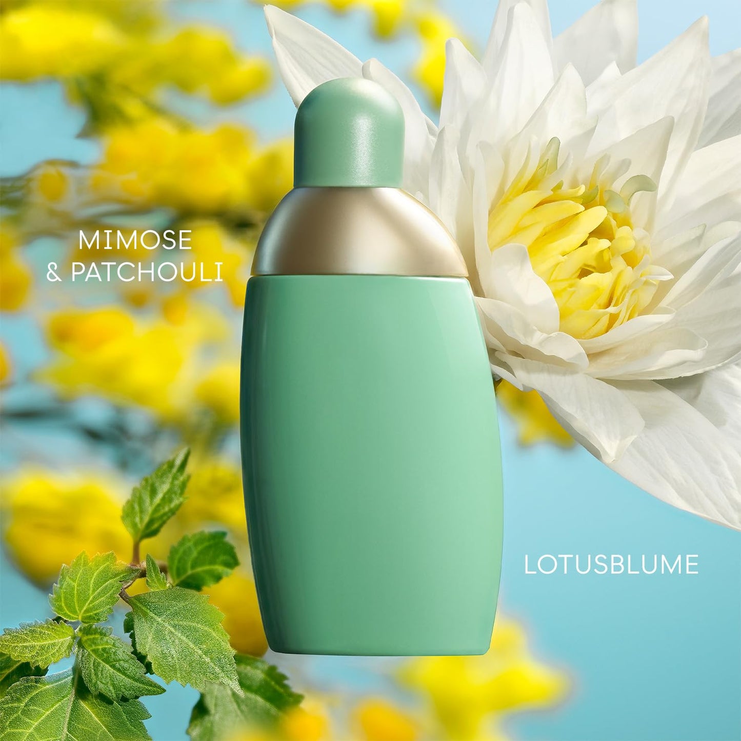 Cacharel Eden, Eau de Parfum for Women, Floral, Chypre With Notes of Mimosa & Sandalwood